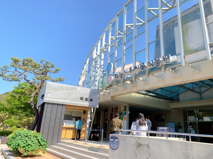  [화성산책] 서울 근교 아이들과 가볼 만한 곳 - 화성 우리 꽃 식물원