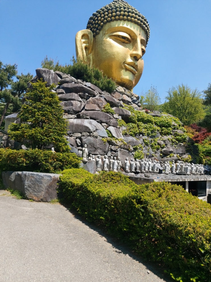 용인 와우정사 이국적 풍경이 가득한 곳!