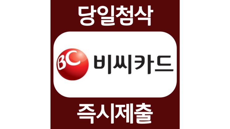 비씨카드 상반기 채용전환형 인턴 자기소개서 자소서 문항 항목 입사지원서 채용지원 작성방법 가이드라인 첨삭받기 비씨카드 상반기 채용전환형 인턴 자기소개서 자소서 문항 항목 입사지원서 채용지원 작성방법 가이드라인 첨삭받기