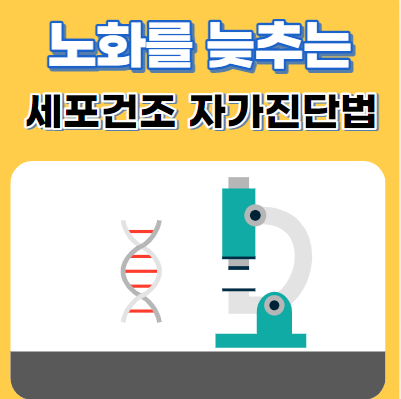  노화방지 항노화로 늦추는 7가지와 자가진단법