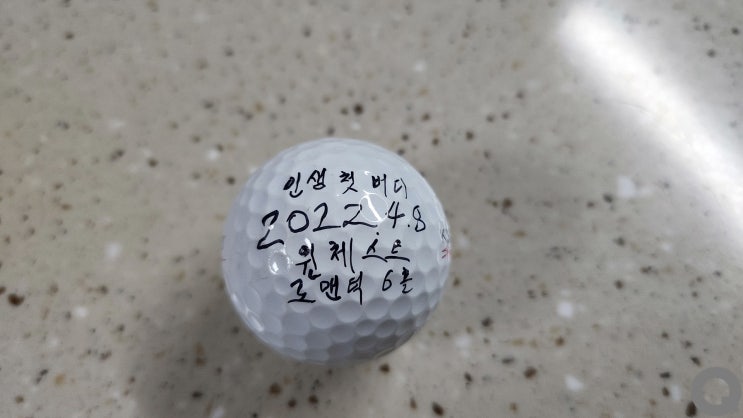드디어 인생 첫 버디 달성! 롱기스트도 추가! :||: 윈체스트 GC :||: 로맨틱 코스 6홀 파5에서 버디