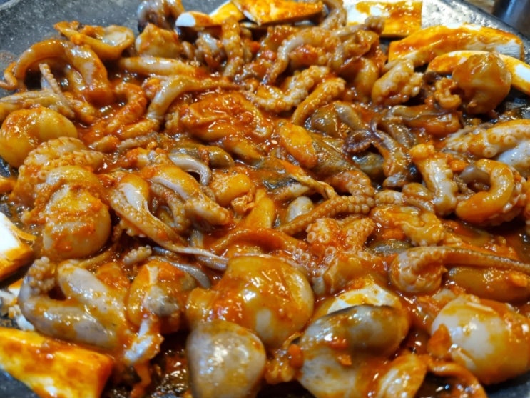  [용두동] 주꾸미의 동네 용 머리 용두동 쭈꾸미