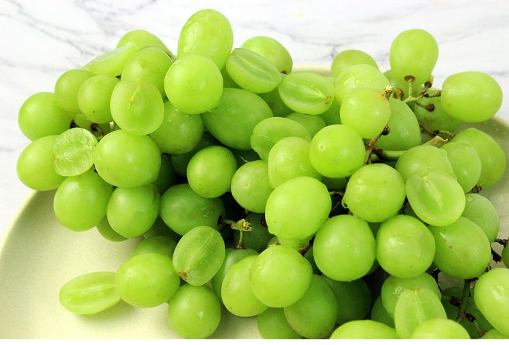  씨없는 청포도 시들러스 청포도, 샤인머스켓보다 더 맛있어요