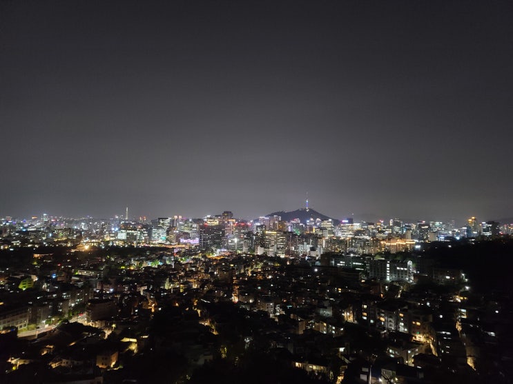산책기록 4월 산책기록 4월
