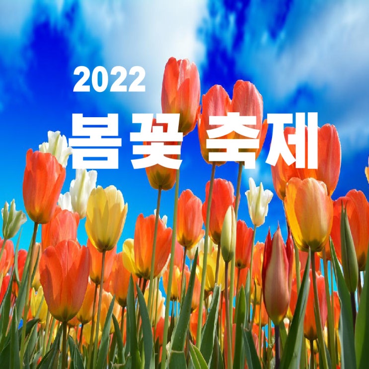  봄꽃축제 어느 도시가 좋을까요?