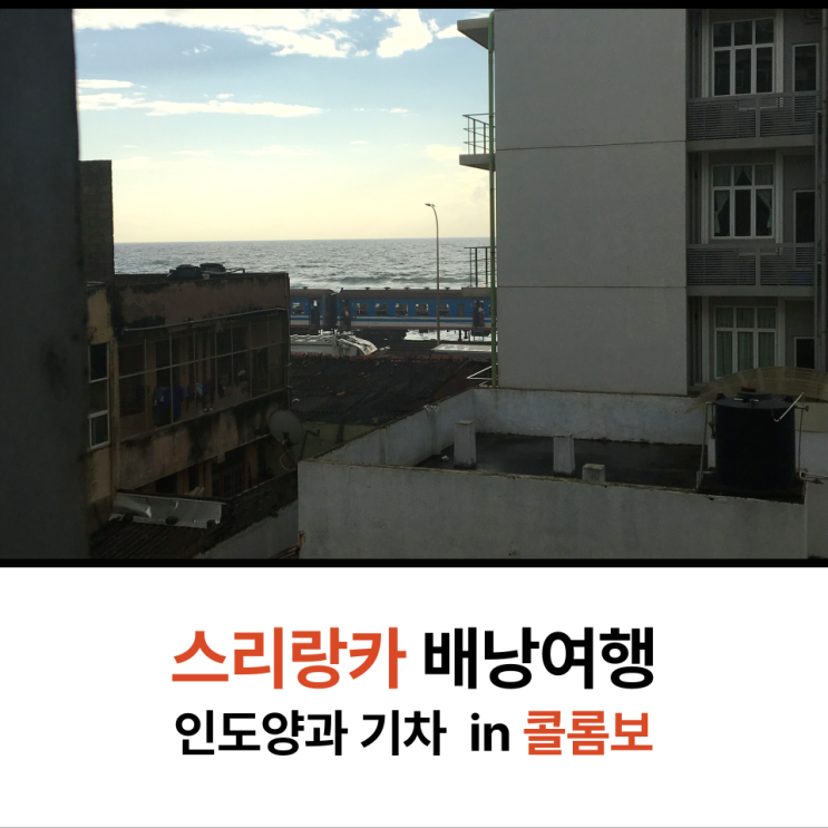  여자 배낭 여행 스리랑카 콜롬보 즐기기