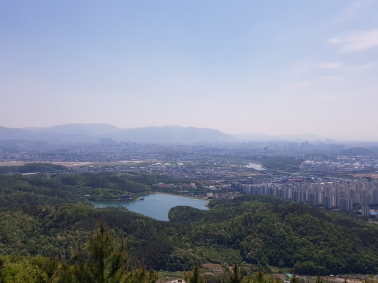  <대구 동구> 봉무공원에서 구절송전망대로~ 만보산책로를 통해 간다!!