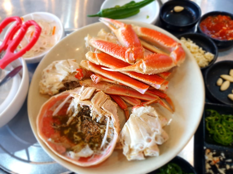  [진해 이동 맛집] 동부회센터 대게 가격, 진해루 맛집 동부회센터 후기