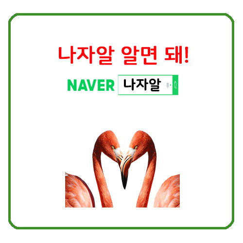  나자알 선생 강론 12탄입니다.