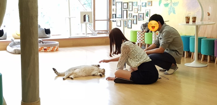  인사동 고양이 카페 - 2Cats