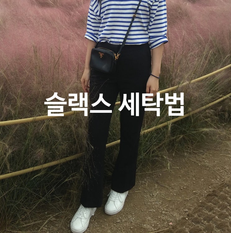  슬랙스 세탁 집에서 세탁기가능 이것만 알면 세탁비 절약