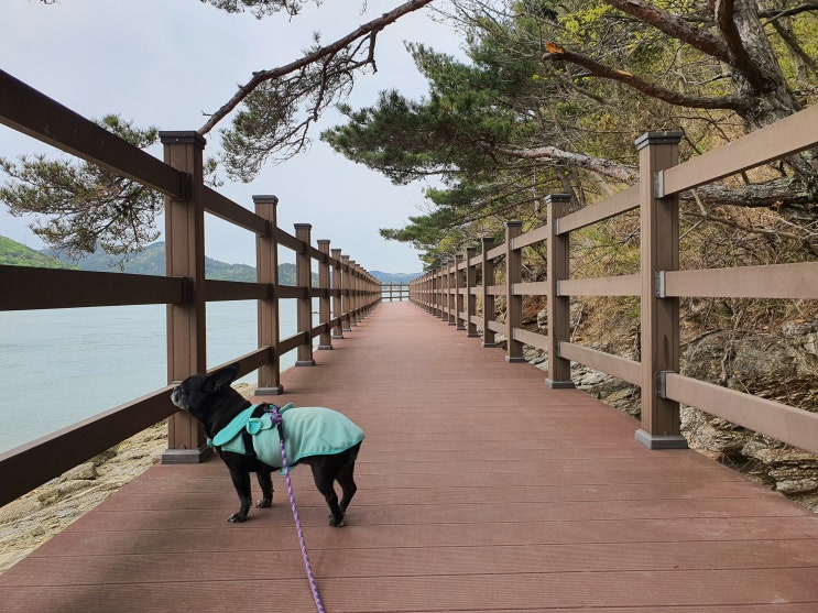  서산 가볼만한곳 숨은 명소 주벅배전망대