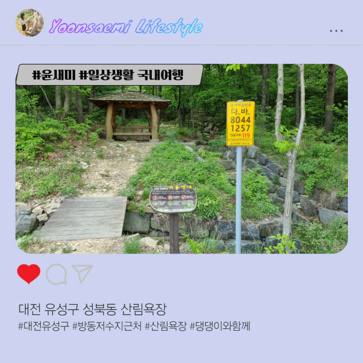 대전 유성구 성북동 산림욕장 (애견 동반 가능)