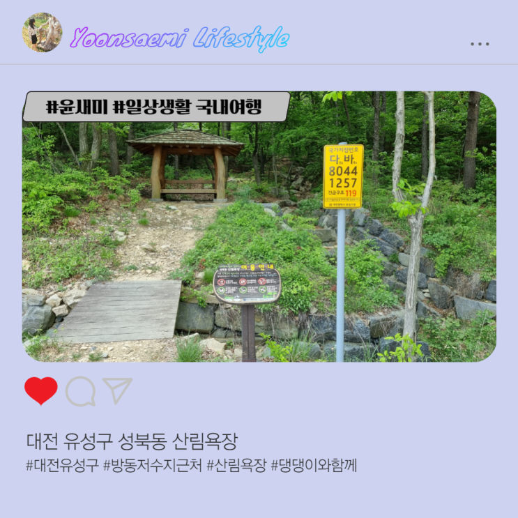  대전 유성구 성북동 산림욕장 (애견 동반 가능)
