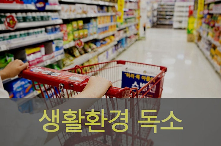  생활환경 독소로 인한 질병 종류