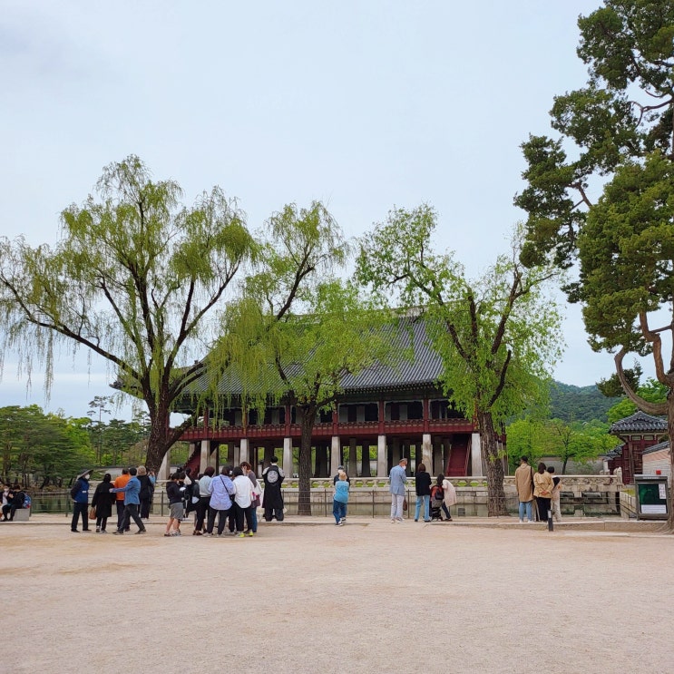  경복궁 경회루 특별관람 신청 방법 및 관람 후기(feat. 2022연등회 연등행렬 후기)