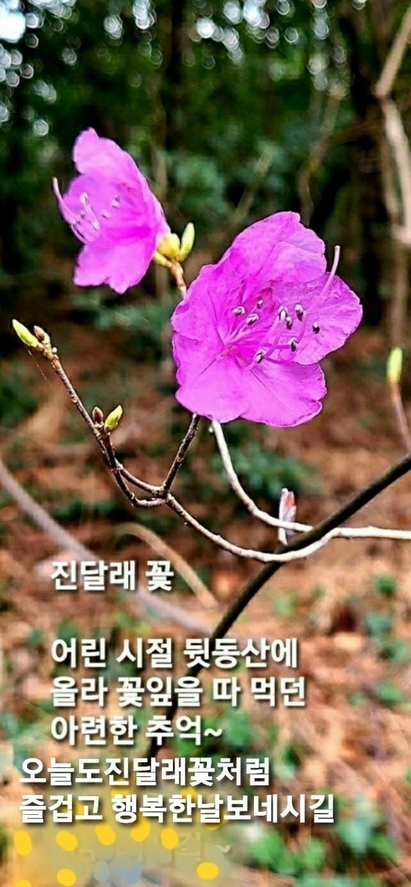 윤호중,  <b>한동훈</b> 딸 허위스펙 풀코스 <b>경찰</b> 공수처 수사해야