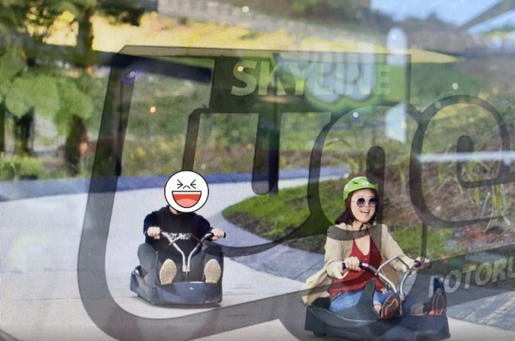  (뉴질랜드) 해외여행_로토루아편 feat.스카이라인_루지_짚라인