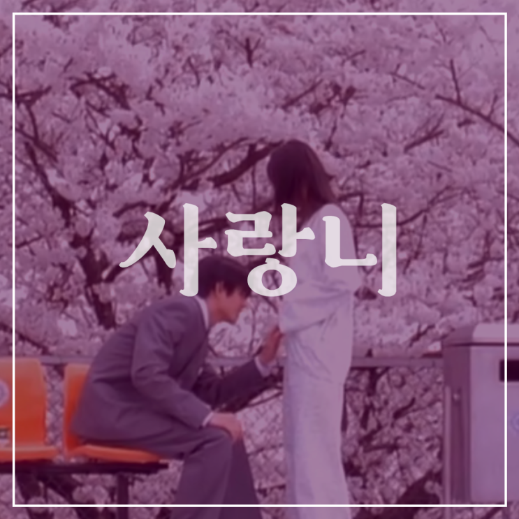  [사랑니]밀도있게 가벼운 영화 | 영화줄거리 | 구조분석 | 사랑니영화결말에 대하여