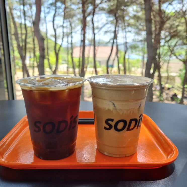  경주 대형 야외 카페 추천 여행 필수코스 소디스 커피
