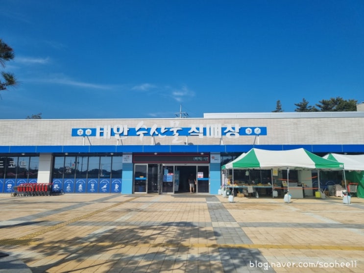  태안 가볼만한곳 | 수산물 로컬푸드 직매장