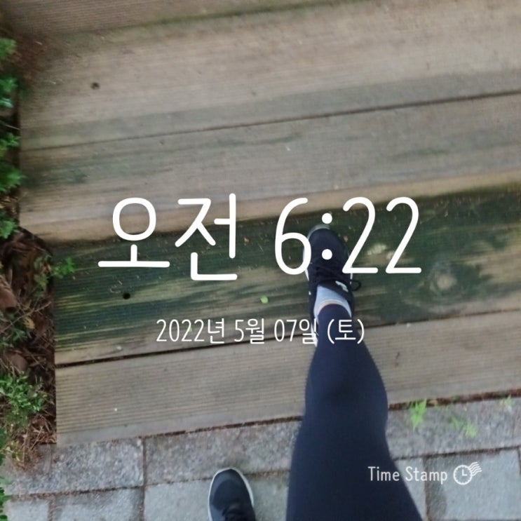  매일 아침 걷기 운동