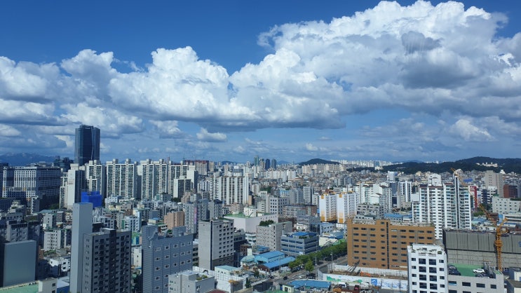  30세미만세대분리 조건 고려사항