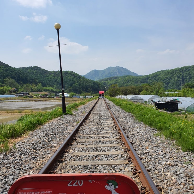  22년5월 김유정역 레일바이크 솔직후기