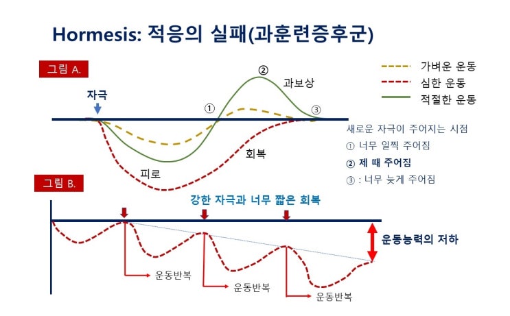  과훈련증후군, 오버트레이닝 증후군 Overtraining Syndrome, 진단과 대처