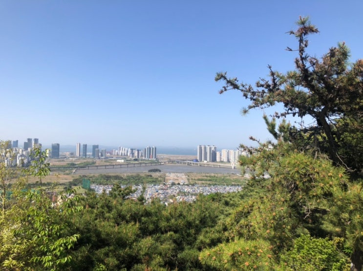  여름 준비 : 등산 필라테스 운동 식단관리
