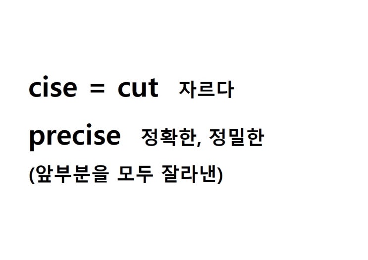  어근 cise = cut 자르다 (precise 앞부분을 모두 잘라낸 = 정확한, 정밀한)