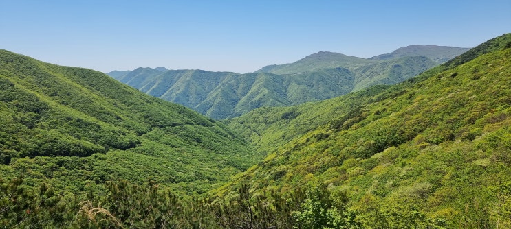짧지만 긴여운...아내와의 산책!!! 짧지만 긴여운...아내와의 산책!!!