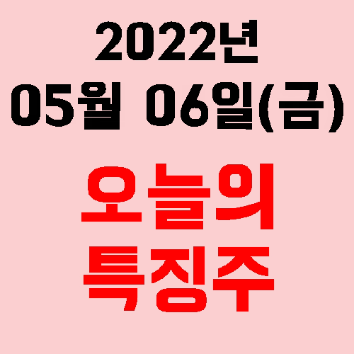  오늘의 특징주 2022년 05월 06일(금)