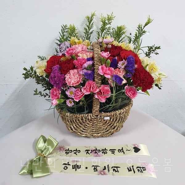  오늘은봄 대전꽃배달 서구 만년동 변동 복수동 꽃집 당일전국꽃배달 대전개업화분 카네이션 꽃바구니 풍성하게제작!