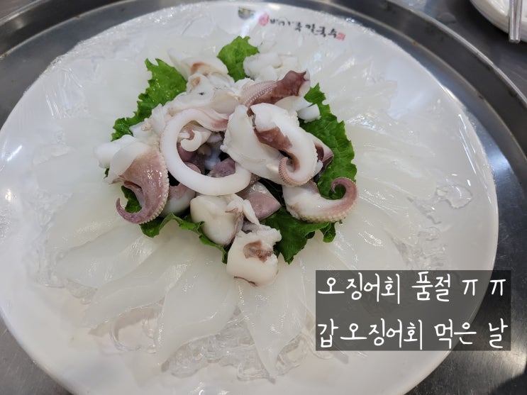  봉명동횟집 유성온천축제보다가 유성오징어회먹으러 꼬우