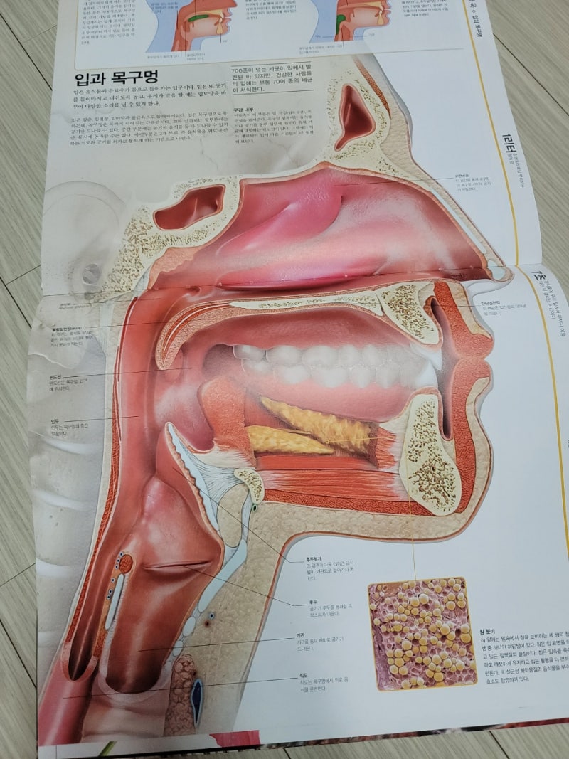 Design Communitia, image size:800x1067