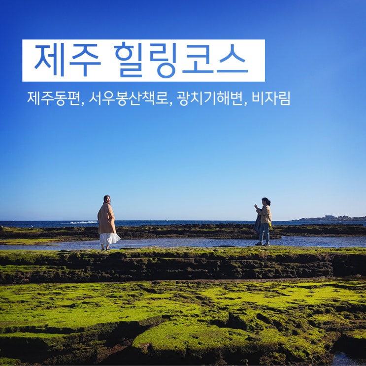  제주, 그 자연을 만끽하고 싶으시면 들어오세요! (제주도 동쪽)