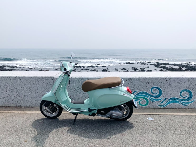 제주도에서 가볼 곳 정리