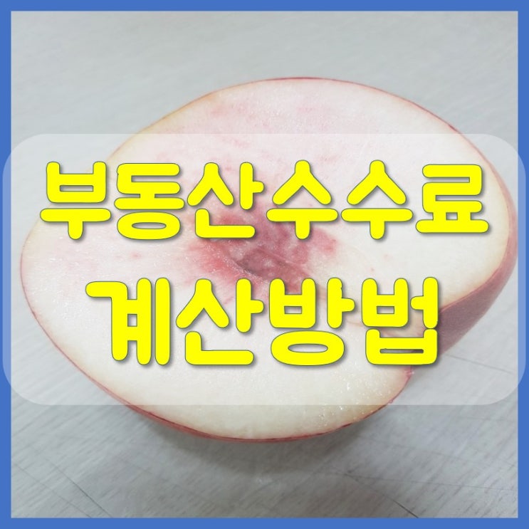  부동산중개수수료 계산 가장 쉽게 하는법!