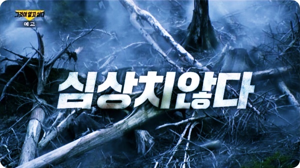  '그것이 알고싶다 1305회' 후지산 2022년 폭발 가능성은? '심층 분석'