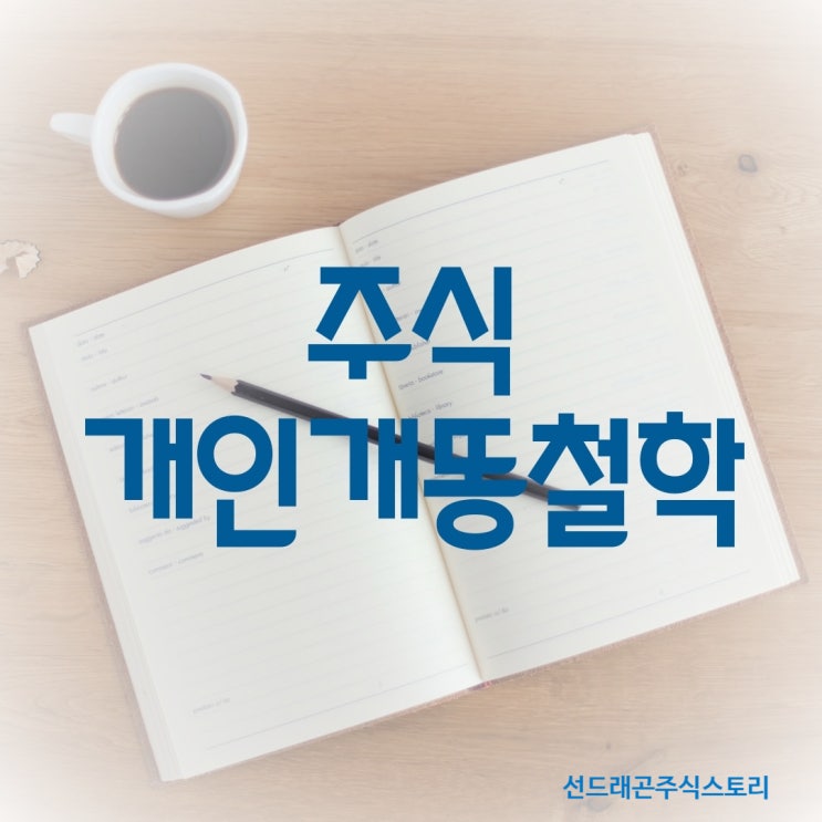  주식개인개똥철학 - 선드래곤