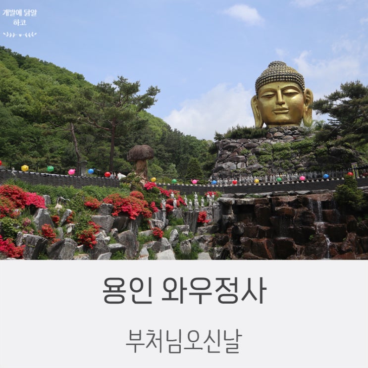  부처님오신날 용인 와우정사 아이들이랑 나들이갔어요