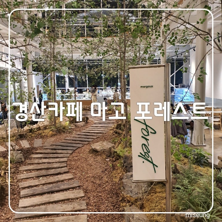  경산 카페 마고 포레스트 숲속 분위기 대형카페