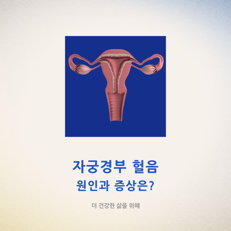 자궁경부 헐음 원인과 증상은?