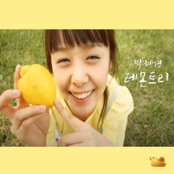 박혜경 레몬트리 가사 노래듣기