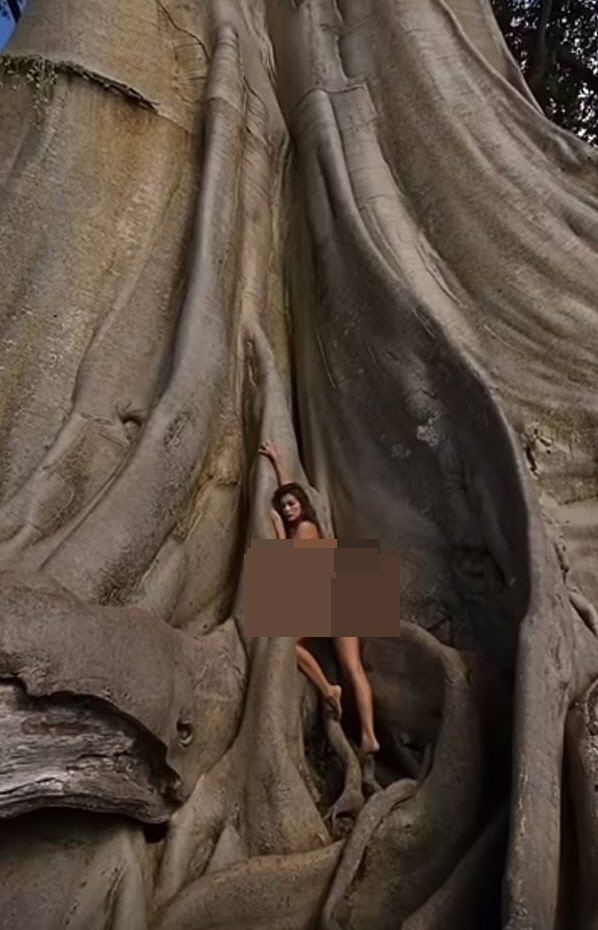 "신성한 나무에서 나체로 사진"... 러 부부, 발리서 추방 위기 "신성한 나무에서 나체로 사진"... 러 부부, 발리서 추방 위기