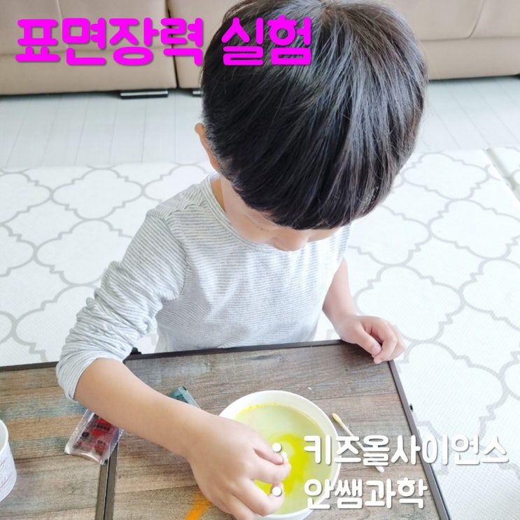  안쌤과학 키즈올사이언스로 다양한 표면장력 실험