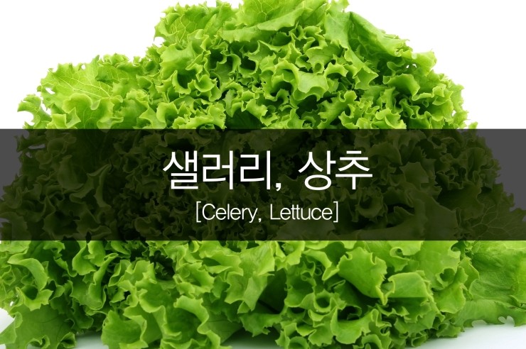 불면증으로부터 벗어나기 위한 '수면에 좋은 음식 BEST 10' 불면증으로부터 벗어나기 위한 '수면에 좋은 음식 BEST 10'