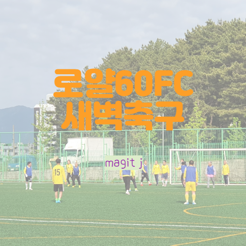  로얄60 회원들 오늘 새벽도 달려보았습니다_부처님오신날 겸 어버이날 조기축구