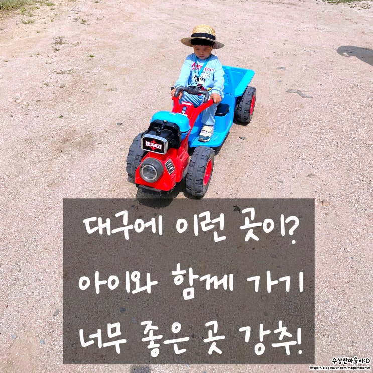  대구 아이와 함께 가보기 좋은 곳! 와 대구에 이런 곳이?